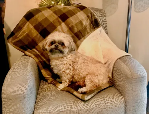 My Cherished Blanket